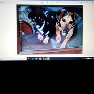 Meet your Posher, Sandy